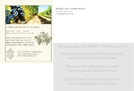 Vineyard & Winery Small Postcard