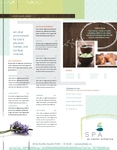 Day Spa Sell Sheet